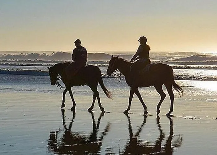 Mobil Confortable Avec Terrasse A - Api-1-52-1436