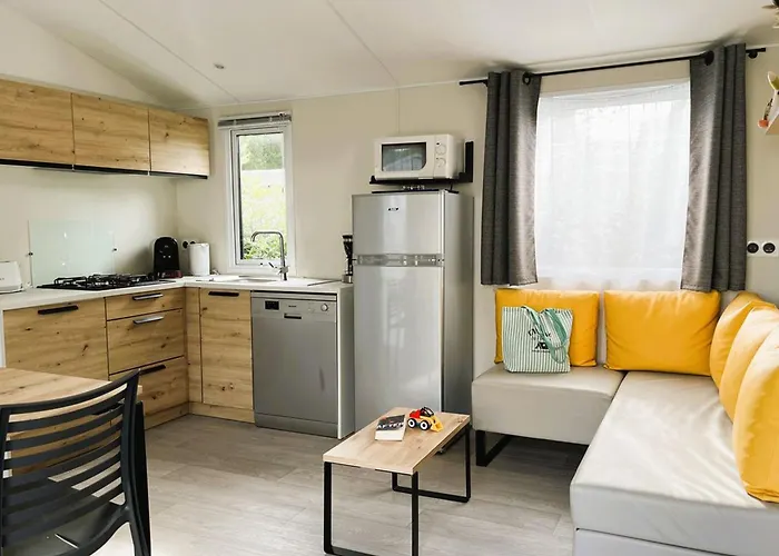 Mobil Confortable Avec Terrasse A - Api-1-52-1436 * Dolus d'Oléron