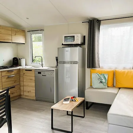 Mobil Confortable Avec Terrasse A - Api-1-52-1436 * Dolus d'Oléron