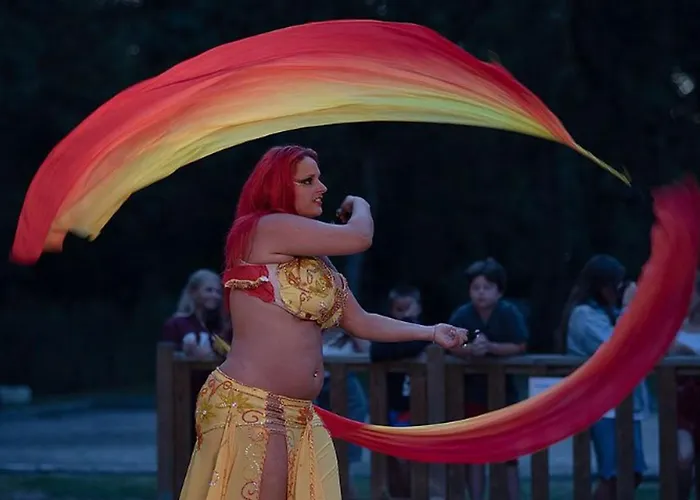 Mobil Confortable Avec Terrasse à Dolus-d'oléron - Api-1-52-1436 Camping Dolus d'Oléron